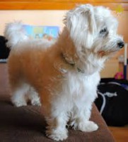 /album/klbka/images-7-jpg/